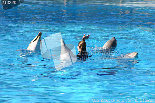 Image of dolphins dancing