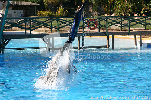 Image of girl pushed up by a dolphin