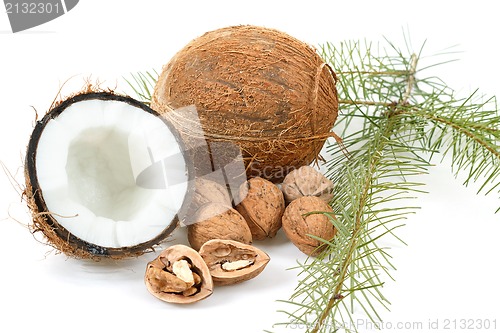 Image of Coconut and walnut with pine twig on white 