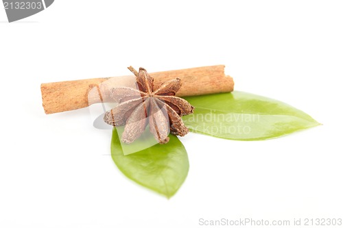 Image of Star Anise, cinnamon and and green leave on white