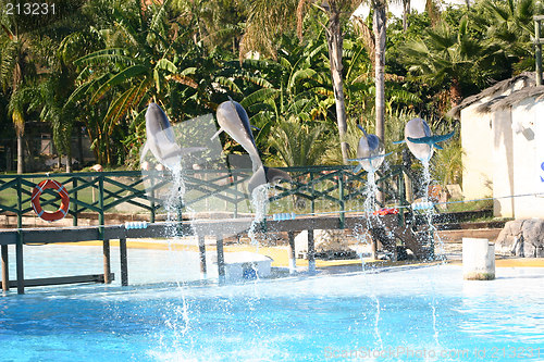 Image of four dolphins leaping