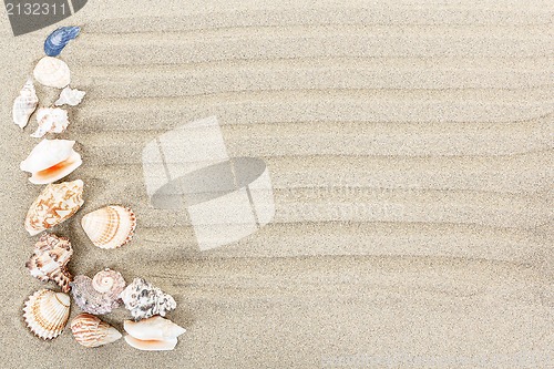 Image of sea shells with sand as background 