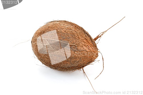 Image of Coconut on a white background 