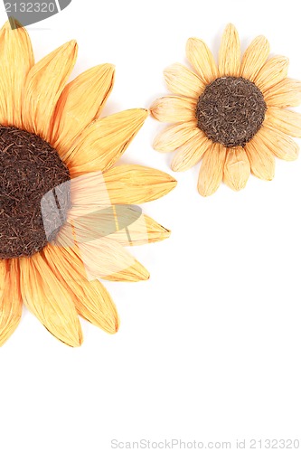 Image of two sunflower decoration white background