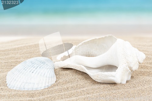 Image of seashell in sand with blue blurry background