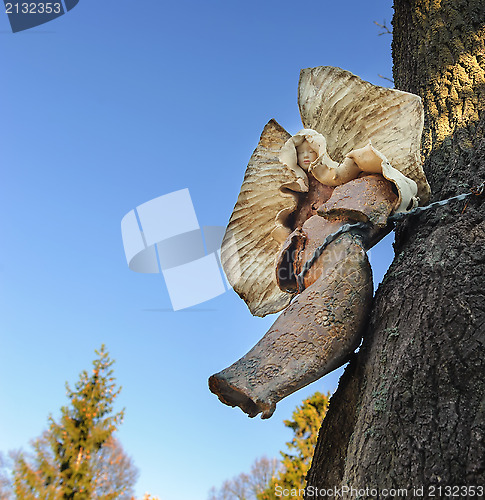 Image of Little wooden angel figure in a tree