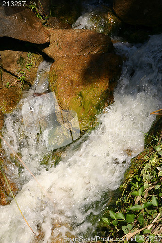Image of slimey rock and waterwall