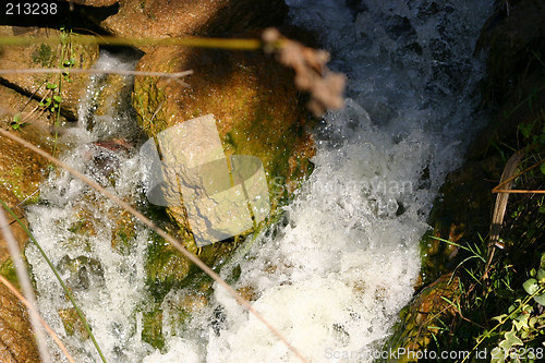 Image of slimey rock and waterwall