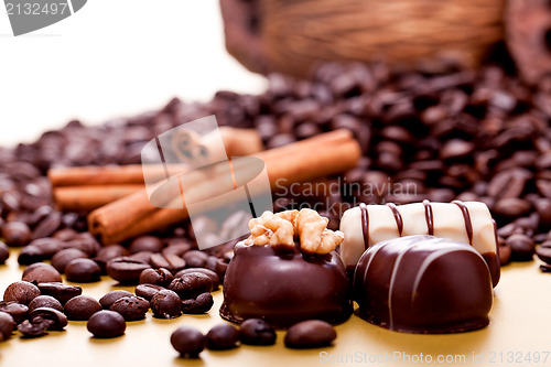 Image of collection of different chocolate pralines truffels 