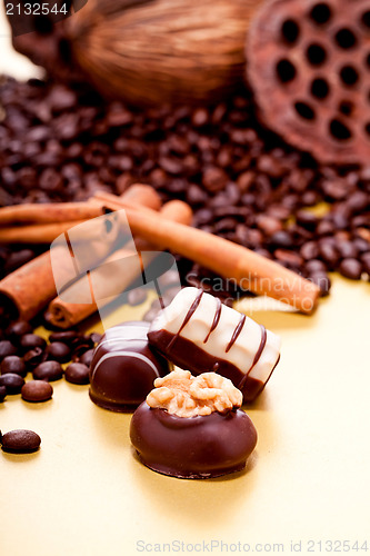 Image of collection of different chocolate pralines truffels 