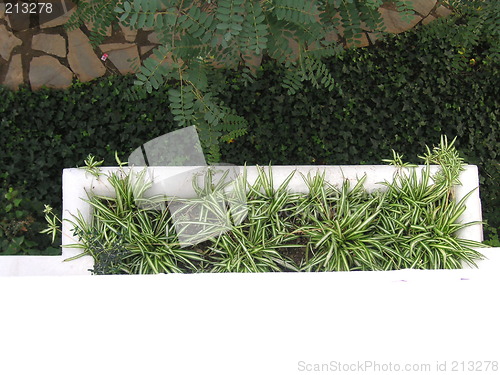 Image of window box