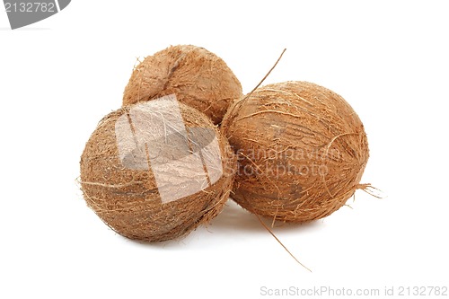 Image of Coconut on a white background 