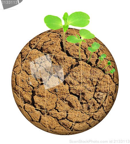 Image of Plant growing out of parched planet, evolution concept