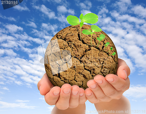 Image of Plants growing out of parched planet in hands