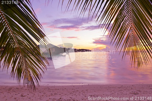 Image of tropical beach