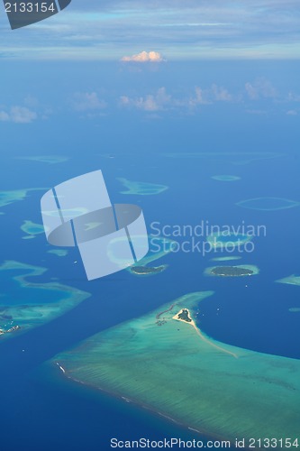 Image of tropical beach