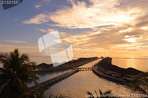 Image of tropical beach