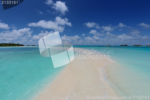 Image of tropical beach