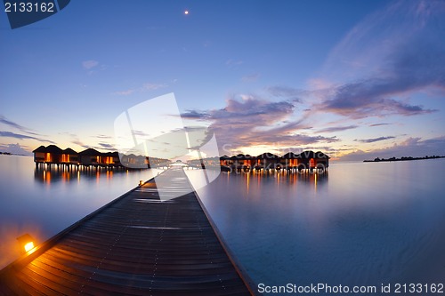 Image of tropical beach