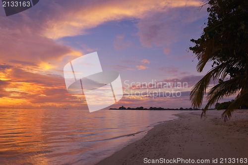 Image of tropical beach