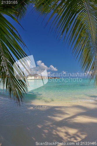 Image of tropical beach