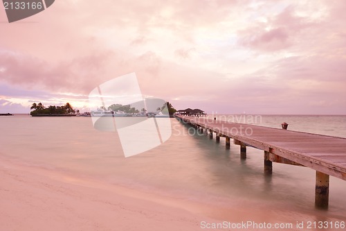 Image of tropical beach