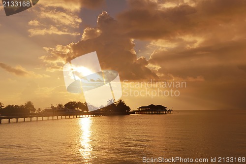 Image of tropical beach