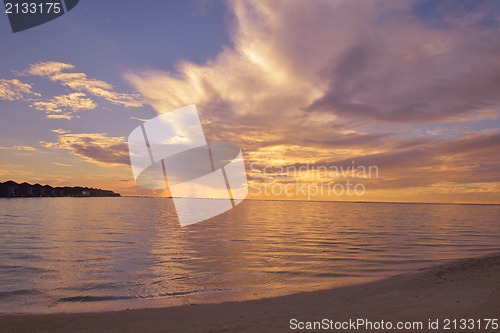 Image of tropical beach