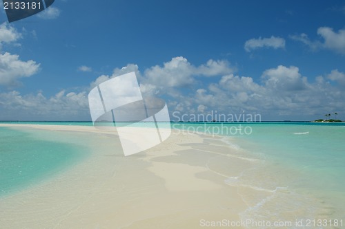 Image of tropical beach