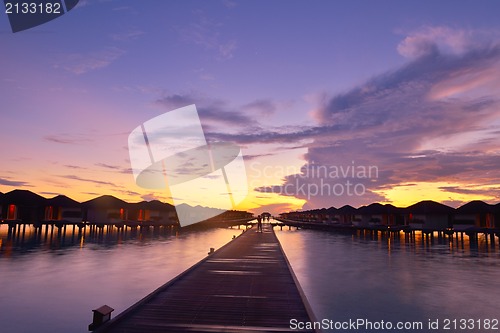 Image of tropical beach