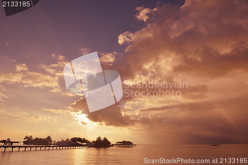 Image of tropical beach