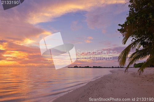 Image of tropical beach