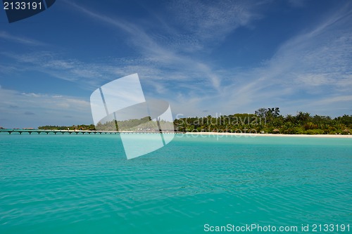 Image of tropical beach