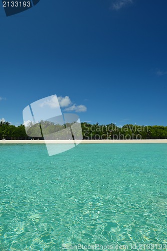 Image of tropical beach