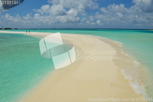 Image of tropical beach