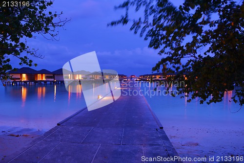 Image of tropical beach