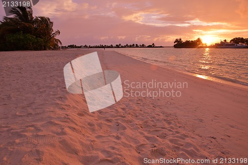 Image of tropical beach