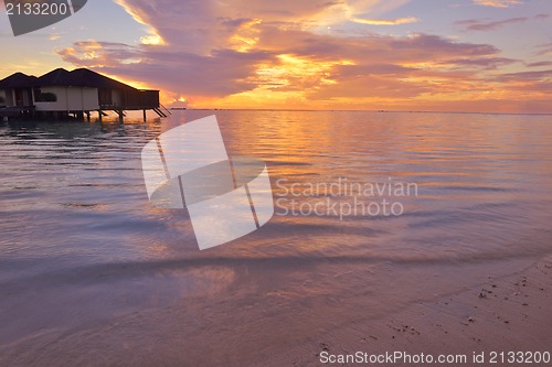 Image of tropical beach