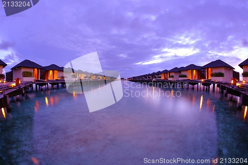 Image of tropical beach