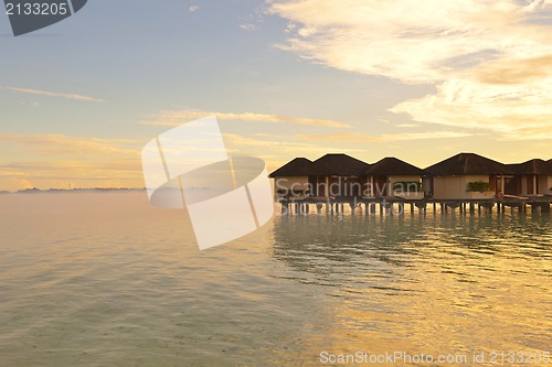 Image of tropical beach