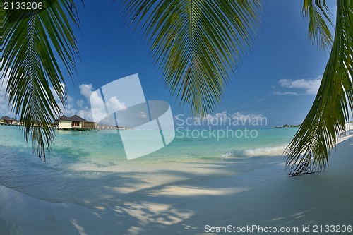 Image of tropical beach