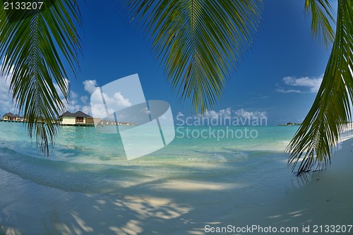 Image of tropical beach