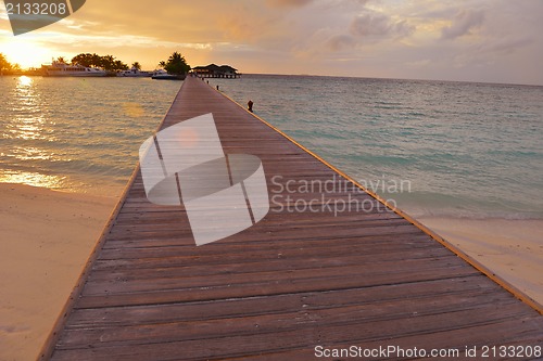 Image of tropical beach