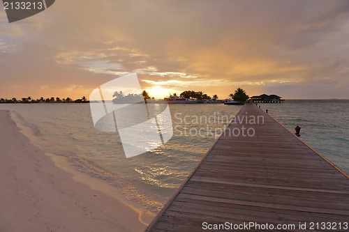 Image of tropical beach