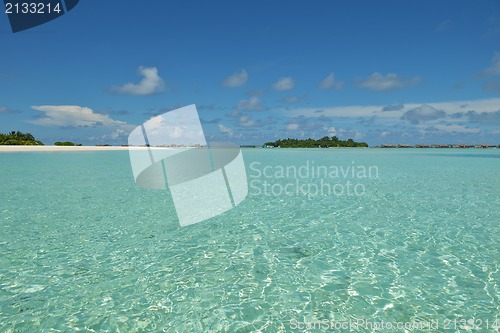 Image of tropical beach