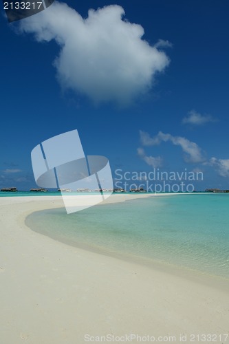 Image of tropical beach