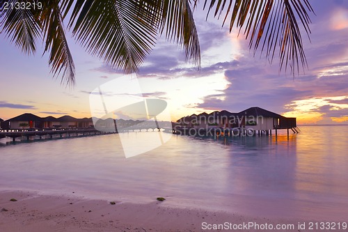 Image of tropical beach