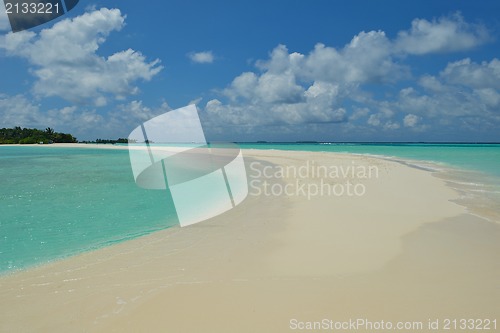 Image of tropical beach