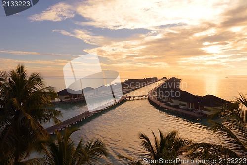 Image of tropical beach