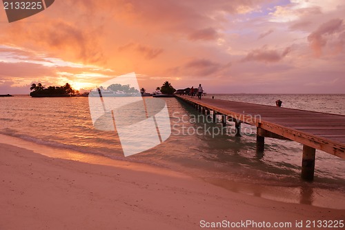 Image of tropical beach